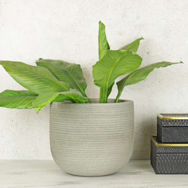 Ridged, Light Grey Pot